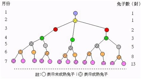 兔子問題|演算法